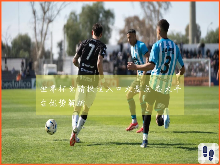 世界杯竞猜投注入口大盘点 各大平台优势解析