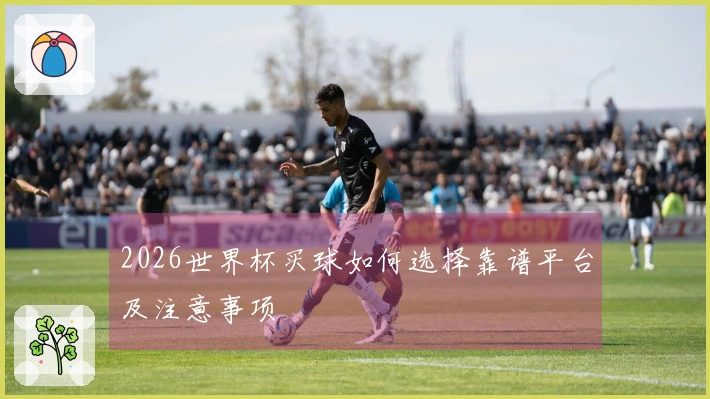 2026世界杯买球如何选择靠谱平台及注意事项