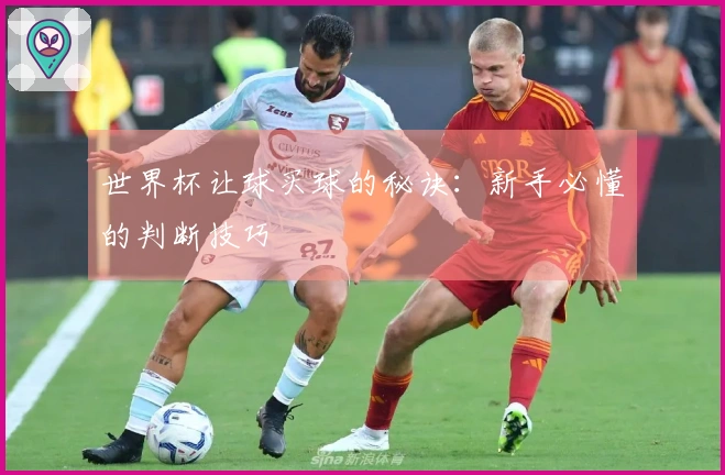 世界杯让球买球的秘诀：新手必懂的判断技巧