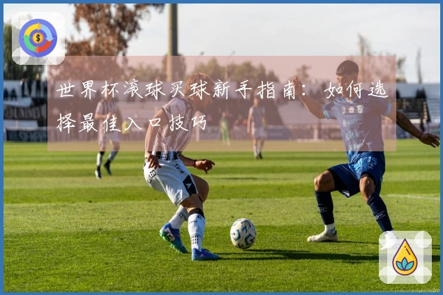 世界杯滚球买球新手指南：如何选择最佳入口技巧