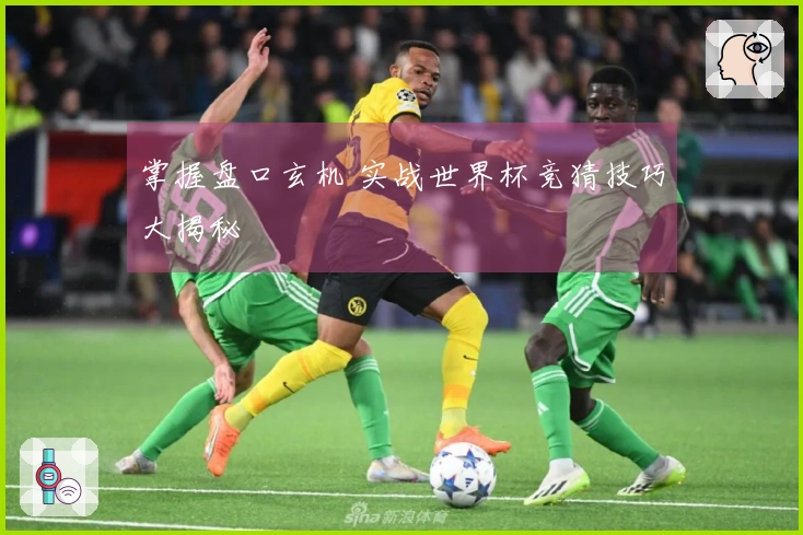 掌握盘口玄机 实战世界杯竞猜技巧大揭秘