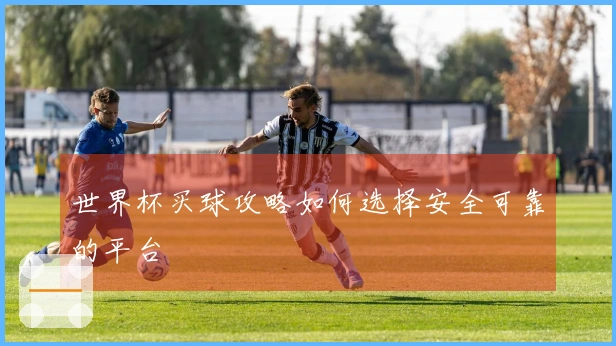 世界杯买球攻略如何选择安全可靠的平台
